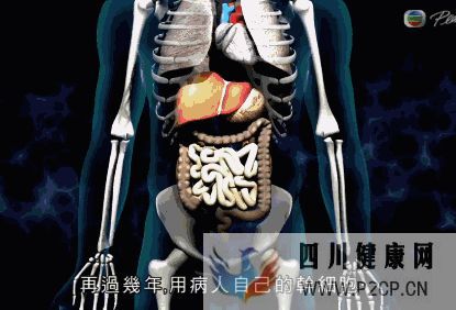 干細胞對身體的幾大作用(圖10) 干細胞對身體的幾大作用(圖10)
