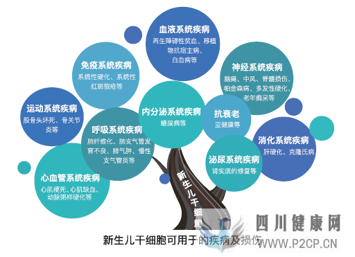 科普丨干細胞是干什么的能治療哪些病國內外研究...(圖1) 科普丨干細胞是干什么的能治療哪些病國內外研究...(圖1)