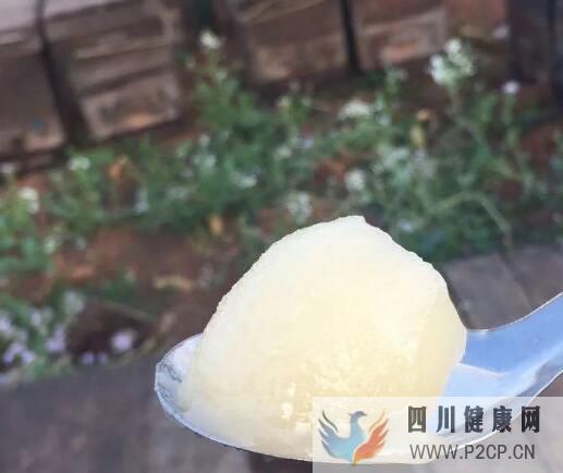 蜂蜜有什么作用和功效蜂蜜的好處和功效(圖1) 蜂蜜有什么作用和功效蜂蜜的好處和功效(圖1)