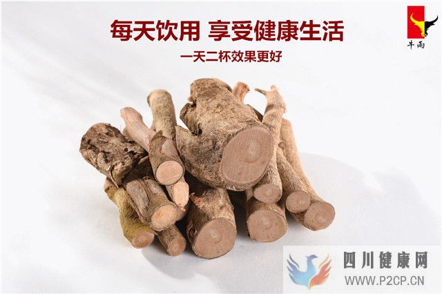 東革阿里的功效和禁忌人群東革阿里的八大功效和三大禁忌解析(圖1)