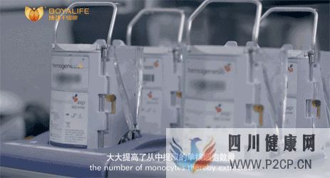 攻略如何選擇一家靠譜的干細胞存儲服務機構(圖20) 攻略如何選擇一家靠譜的干細胞存儲服務機構(圖20)