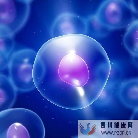 寶媽們別觀望了，干細胞儲存刻不容緩(圖1)