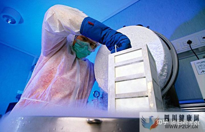 5問干細(xì)胞存儲知識,詳細(xì)了解一系列流程(圖1) 5問干細(xì)胞存儲知識,詳細(xì)了解一系列流程(圖1)