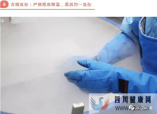高端解讀一分鐘了解臍帶源間充質干細胞存儲流程(圖1) 高端解讀一分鐘了解臍帶源間充質干細胞存儲流程(圖1)