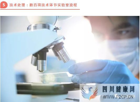高端解讀一分鐘了解臍帶源間充質干細胞存儲流程(圖3) 高端解讀一分鐘了解臍帶源間充質干細胞存儲流程(圖3)