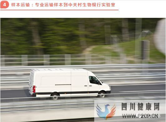高端解讀一分鐘了解臍帶源間充質干細胞存儲流程(圖6) 高端解讀一分鐘了解臍帶源間充質干細胞存儲流程(圖6)