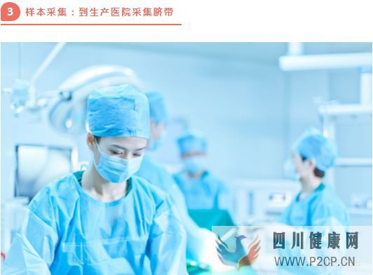 高端解讀一分鐘了解臍帶源間充質干細胞存儲流程(圖8) 高端解讀一分鐘了解臍帶源間充質干細胞存儲流程(圖8)