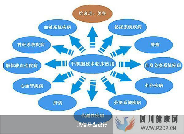 干細胞儲存知識分享(圖2)