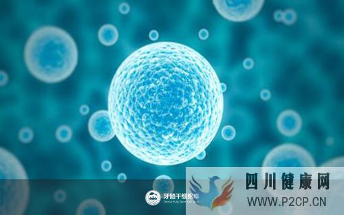 牙髓干細胞儲存相關知識普及(圖2)