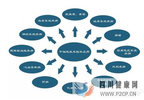 什么是干細胞,不同的干細胞是指什么,又是如何區...(圖10) 什么是干細胞,不同的干細胞是指什么,又是如何區...(圖10)