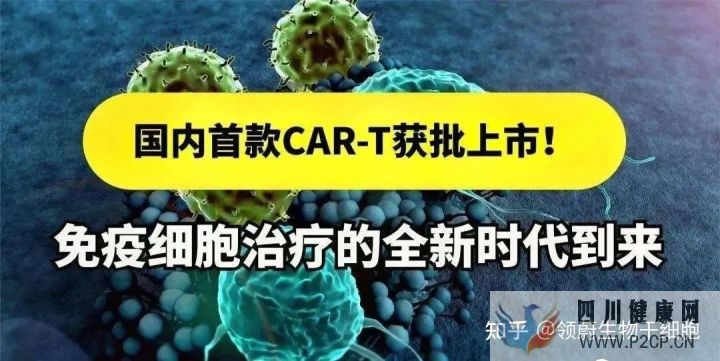 科技部部長我國在干細胞領域取得了一批具有國際...(圖10) 科技部部長我國在干細胞領域取得了一批具有國際...(圖10)