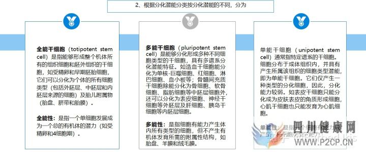 什么是干細胞(圖7) 什么是干細胞(圖7)