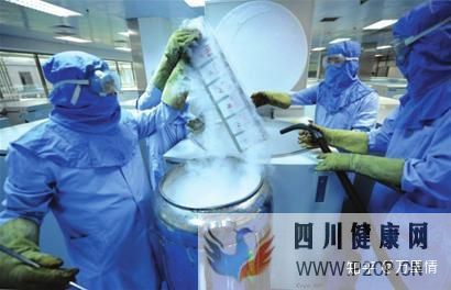 干細胞是什么干細胞的種類(圖2) 干細胞是什么干細胞的種類(圖2)