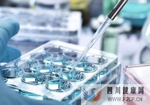 干細胞是什么干細胞的種類(圖4) 干細胞是什么干細胞的種類(圖4)