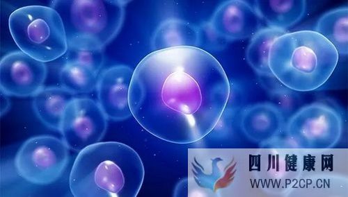 干細胞存儲對于我們有什么意義(圖1) 干細胞存儲對于我們有什么意義(圖1)