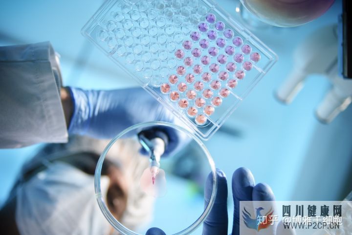 什么是間充質干細胞間充質干細胞存儲有用嗎它具...(圖4) 什么是間充質干細胞間充質干細胞存儲有用嗎它具...(圖4)
