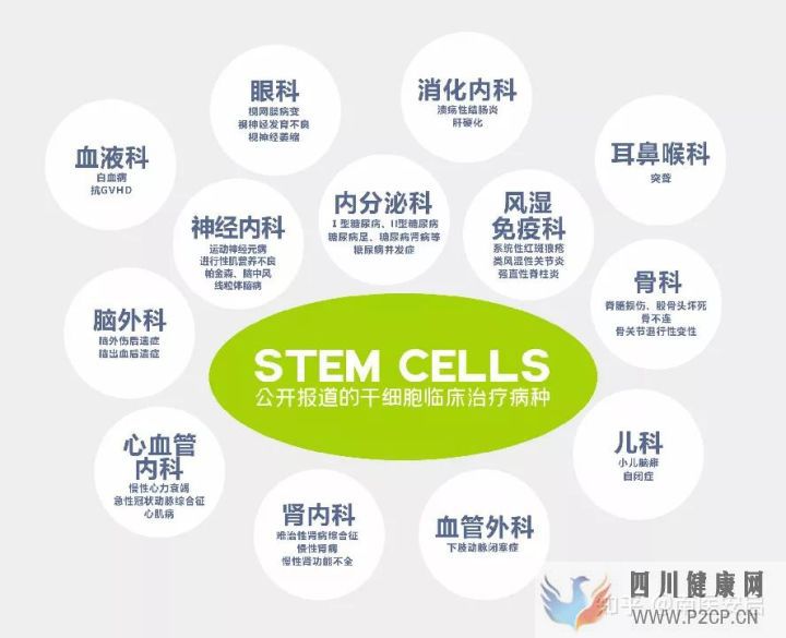 在廣州存儲干細胞的收費標準是什么樣的(圖2) 在廣州存儲干細胞的收費標準是什么樣的(圖2)