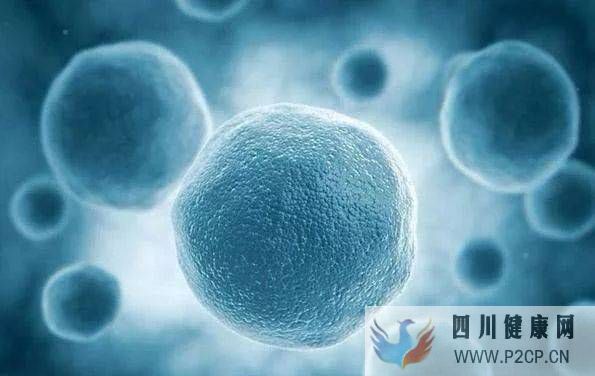 干細胞是干什么的，和“我”有什么關系？(圖1)