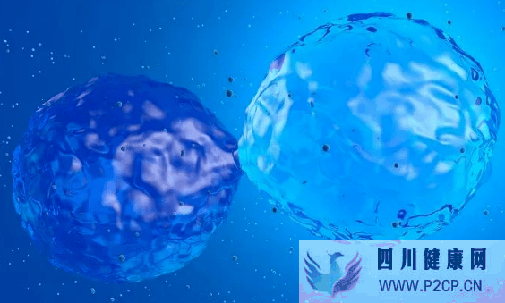 干細(xì)胞在9種皮膚病上的研究，具有治愈的潛力(圖1)