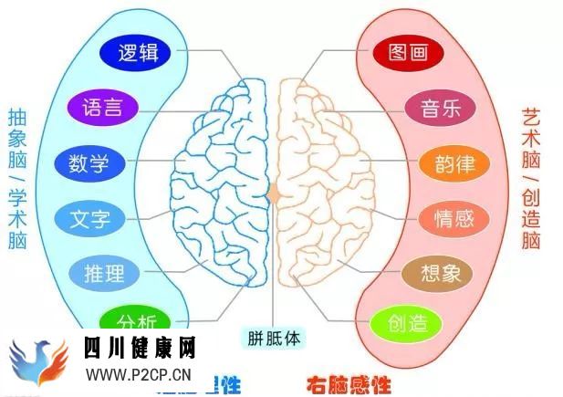 頭腦如何區(qū)分音樂(lè)和語(yǔ)言？